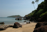 Bat Island Trip Goa