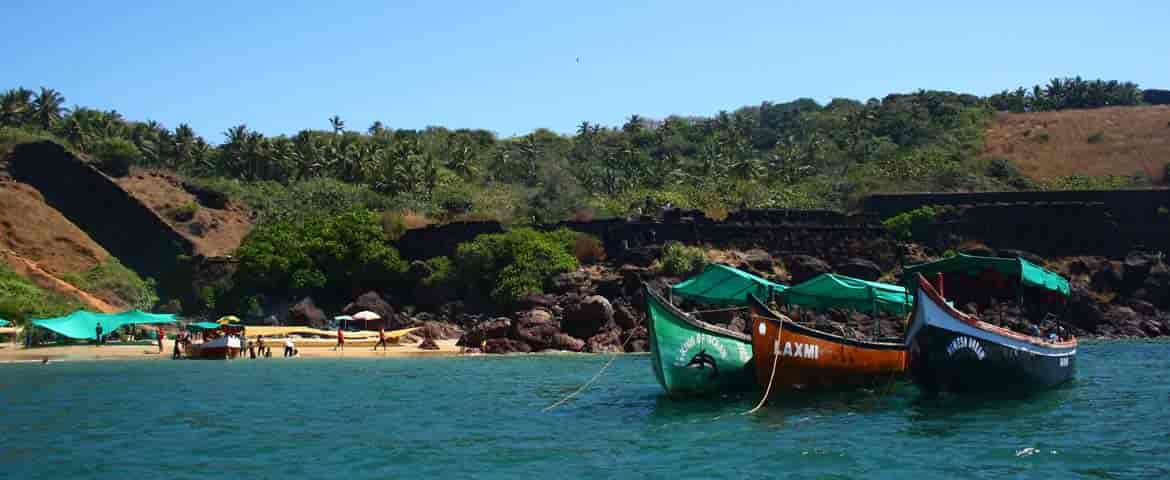 Bat Island Trip Goa