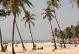 Coastal Delight  Package Goa