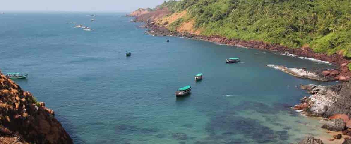 Bat Island Trip Goa