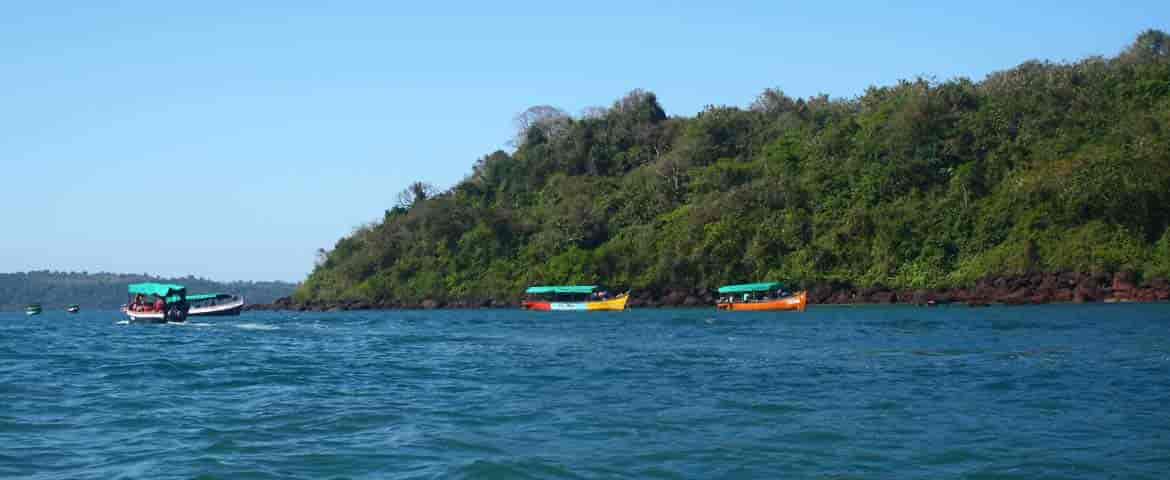 Bat Island Trip Goa