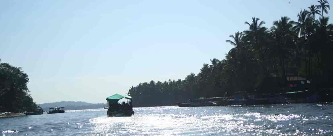 Bat Island Trip Goa