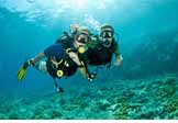 Scuba Diving  Goa