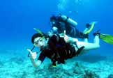 Scuba Diving  Goa